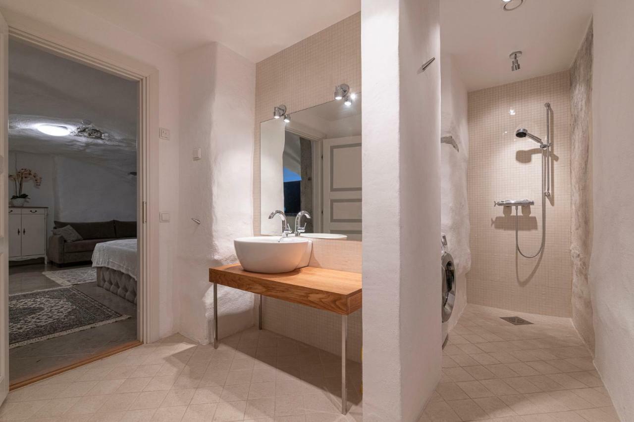 Tallinn Housing 2 Bdr 2 Bathroom With Sauna At Carl Engel Luxury House المظهر الخارجي الصورة